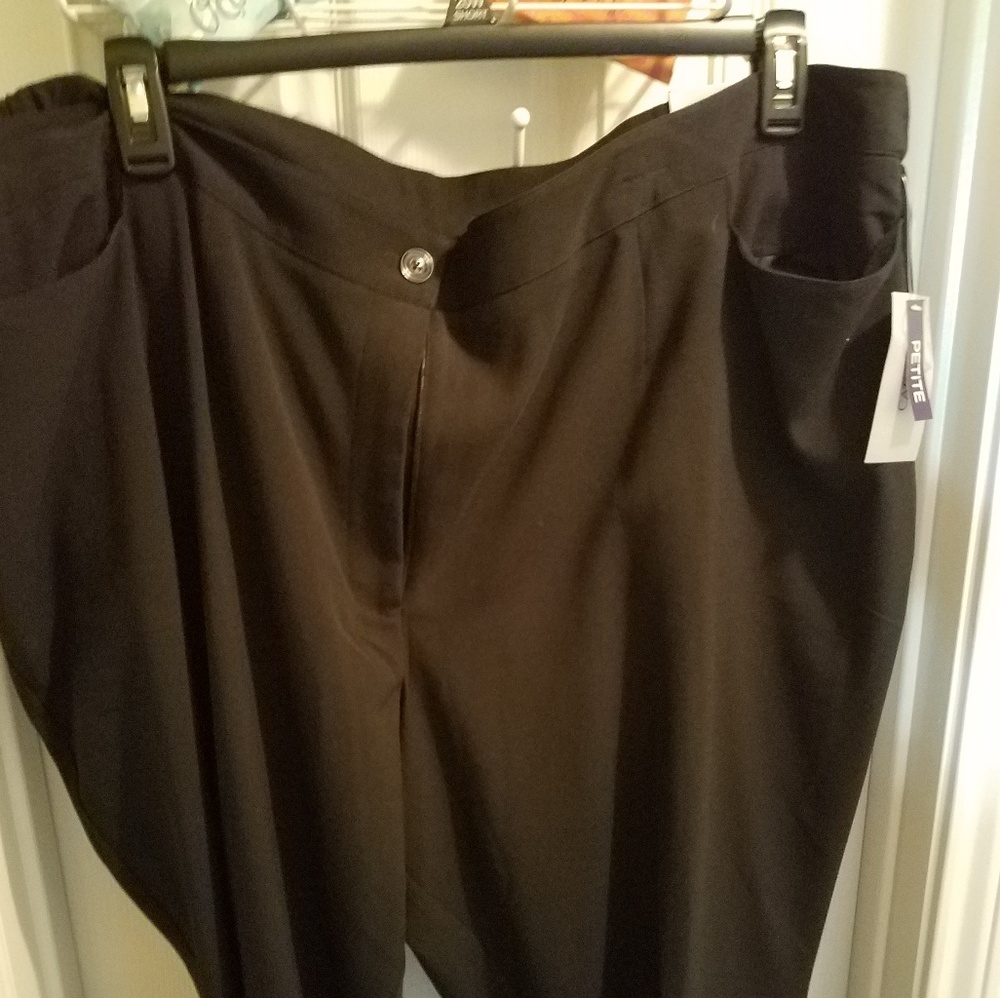 Dress pants